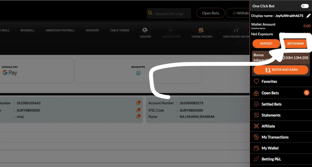 Understanding Your Wallet Information