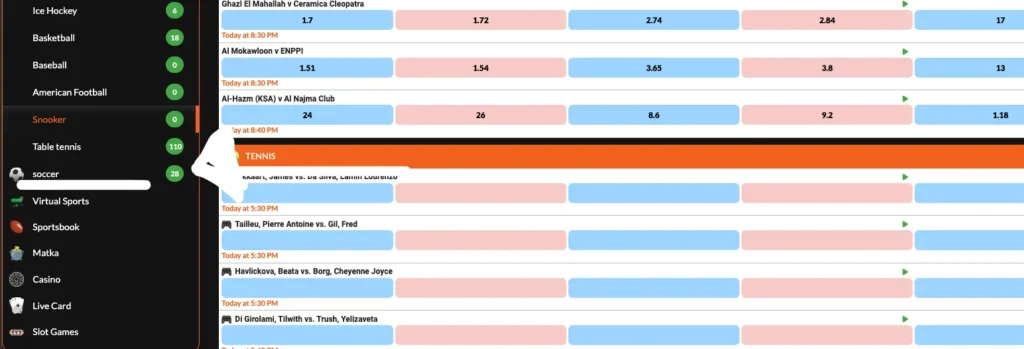 Access the Football/Soccer Section