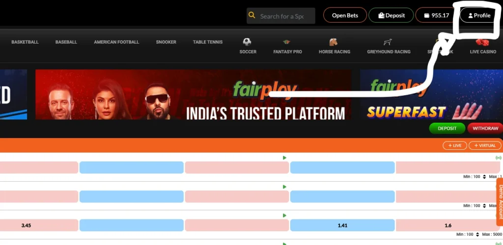 profile icon or username button